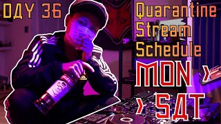 DJ SLAVINE  QuaRavine Isolation Stream DAY 36 RUSSIAN HARDBASS [upl. by Tekla]