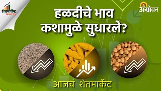 Turmeric Market हळदीची बाजारातील आवक कशी सुरु आहे   Agrowon  ॲग्रोवन [upl. by Magdau153]