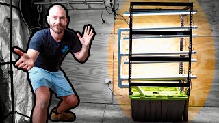 How to Build an Indoor Vertical Hydroponic System for Lettuce [upl. by Rosner883]