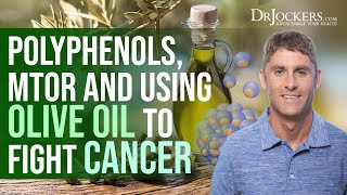 mTOR Polyphenols and Using Olive Oil to Fight Cancer with Dr Limor Goren [upl. by Johnna]