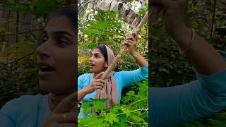 അയ്യോ കഷ്ട്ടായി പോയി youtubeshorts shorts comedy funny love [upl. by Adirf859]