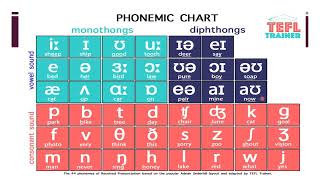 PHONETICAL TRANSCRIPTION EXAMPLES  VIDEO LECTURE Dr NISHITHA [upl. by Nylirad]