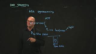 454 pyrosequencing [upl. by Yrneh243]