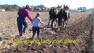 Plow Day Goldsboro North Carolina [upl. by Ecirb]