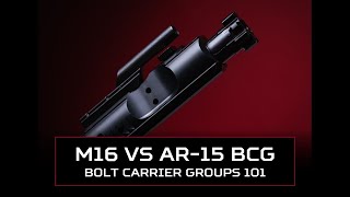 Should You Get an AR15 or M16 BCG Bolt Carrier Groups 101 [upl. by Morgana]