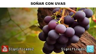 ✔ Significado de Soñar con Uvas ¿QUE SIGNIFICA [upl. by Alleroif]