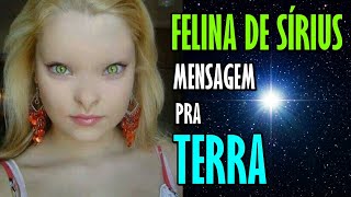 FELINA DE SÍRIUS FALA SOBRE A ESSÊNCIA DIVINA DA TERRA by Michele Noronha [upl. by Margalit]