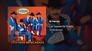 El Perron  Los Tucanes De Tijuana Audio Oficial [upl. by Seyer342]