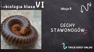 Biologia klasa 6 Lekcja 8  Cechy stawonogów [upl. by Austreng]