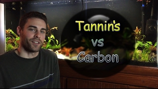 Tannins Carbon Planted Aquarium How effective is GAC and should you use it [upl. by Corbie806]