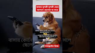 বাসায় সুন্দরী মেয়ে আসলে ছেলেরা যা করেtrendingshorts funnyshorts trending tiktok TrendingRktv [upl. by Suraved]