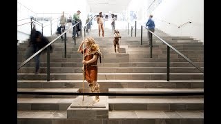 Moesgaard Museum  Henning Larsen Architects  Aarhus Denmark  HD [upl. by Bloom]