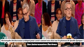 Christophvanne critiqué pour avoir amené son chat sur le plateau de Quelle Époque [upl. by Dagmar4]