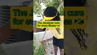 CERASEE jamaica shorts [upl. by Vanzant]