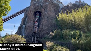 Vlog 48  Disneys Animal Kingdom  March 2024 [upl. by Eamon]