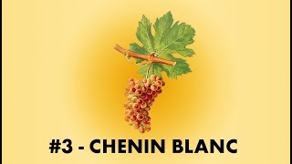 Cépage Sorcier 3  Le Chenin Blanc  English Sub [upl. by Wira]