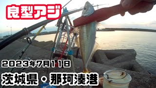 茨城県那珂湊港・アジ サビキ釣り【2023年7月11日】 [upl. by Enois]