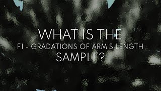 what is the gradations of arms length sample [upl. by Swehttam833]