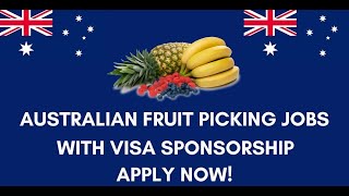 Fruit Picking Jobs in Australia With Visa Sponsorship 2024 [upl. by Aihsiek]