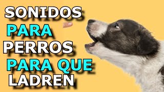 Sonido de Perro 🐶 🐶 Los mejores LADRIDOS DE PERROS 🐶 [upl. by Sihonn590]