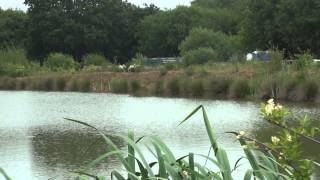 MOUSEHOLE LAKES NETTLESTEAD PADDOCK WOOD KENT ANGLERS MAIL TACTICAL BRIEFINGS [upl. by Harding]