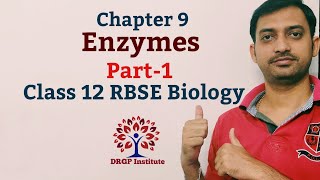 Class 12 Chapter 9 Enzymes RBSE Biology Part1 [upl. by Jonis]