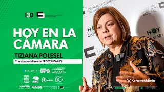 📻🎙️ HOYENLACÁMARA  ENTREVISTA CON TIZIANA POLESEL  2DA VICEPRESIDENTE DE FEDECÁMARAS🌟 [upl. by Ahsinawt522]