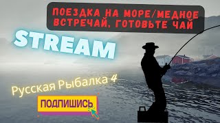 🔴Поездка на море 🔴 Медное встречайготовьте чай 🔴МЕДНОЕКАРПЫ🔴 🔥 Stream Русская Рыбалка 4🔴 [upl. by Hsatan]