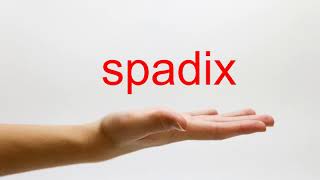 How to Pronounce spadix  American English [upl. by Estele]