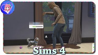 Erstes Beschnuppern 💜 Sims 4 »07« [upl. by Ilise]