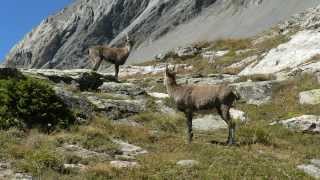 Vanoise  Termignon  Col de la Vanoise [upl. by Fabron]