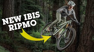 NEW IBIS RIPMO amp RIPLEY  What You Need to Know  Tech Talk [upl. by Haodnanehs468]