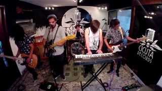 The White Buttons  Dark Blue Cicuta Records Live Session [upl. by Ahtikal]