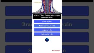 Which of the following is the largest vein in the neck [upl. by Atirak195]