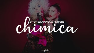 ditonellapiaga amp rettore  chimica testo [upl. by Eniortna]