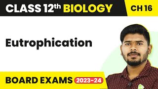 Eutrophication  Environmental Issues  Class 12 Biology 202223 [upl. by Lechner]