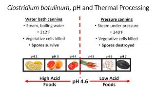 Clostridium botulinum [upl. by Irina]