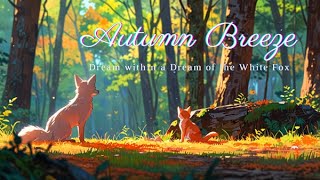 𝐏𝐥𝐚𝐲𝐥𝐢𝐬𝐭  🎹🍂一陣秋天的微風 純音樂 Relaxing Music Autumn Breeze [upl. by Hobard]