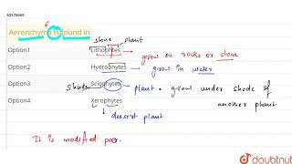 Aerenchyma is found in [upl. by Iruam]