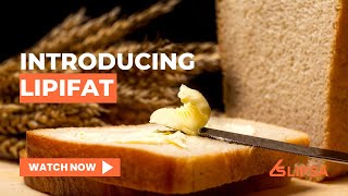 Lipifat TailorMade PlantBased Oils amp Fats for Margarine [upl. by Aitnas]