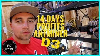 Antminer D3  14 days of Mining and best x11 mining pool Granatgas vs Zpool [upl. by Lav662]