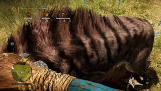 Far Cry Primal PC Apex Ed 100 Walkthrough Part 174  Urkis New Stink 4K Ultra [upl. by Jaclin]