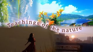 Teachings of the nature  selfgrowth tips from nature Listen to the nature 😊 [upl. by Spracklen]