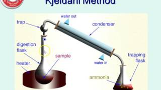 Estimation of Nitrogen  Kjeldahl Method [upl. by Yddor466]