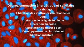 Déprogrammation énergétique et cellulaire [upl. by Aicia]