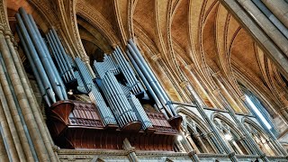 Organ Recital James Orford [upl. by Ecirb]