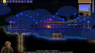 Terraria  100 Trophy Gameplay PS4 Part 8 [upl. by Ynnhoj]