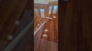 Recoating Brazilian Cherry hardwood floors so satisfying short asmr [upl. by Jean-Claude320]