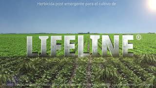 LIFELINE  Nuevo herbicida para sojas resistentes a glufosinato de amonio [upl. by Gnud]