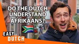 Do the Dutch Understand Afrikaans  Easy Dutch 62 [upl. by Bomke]